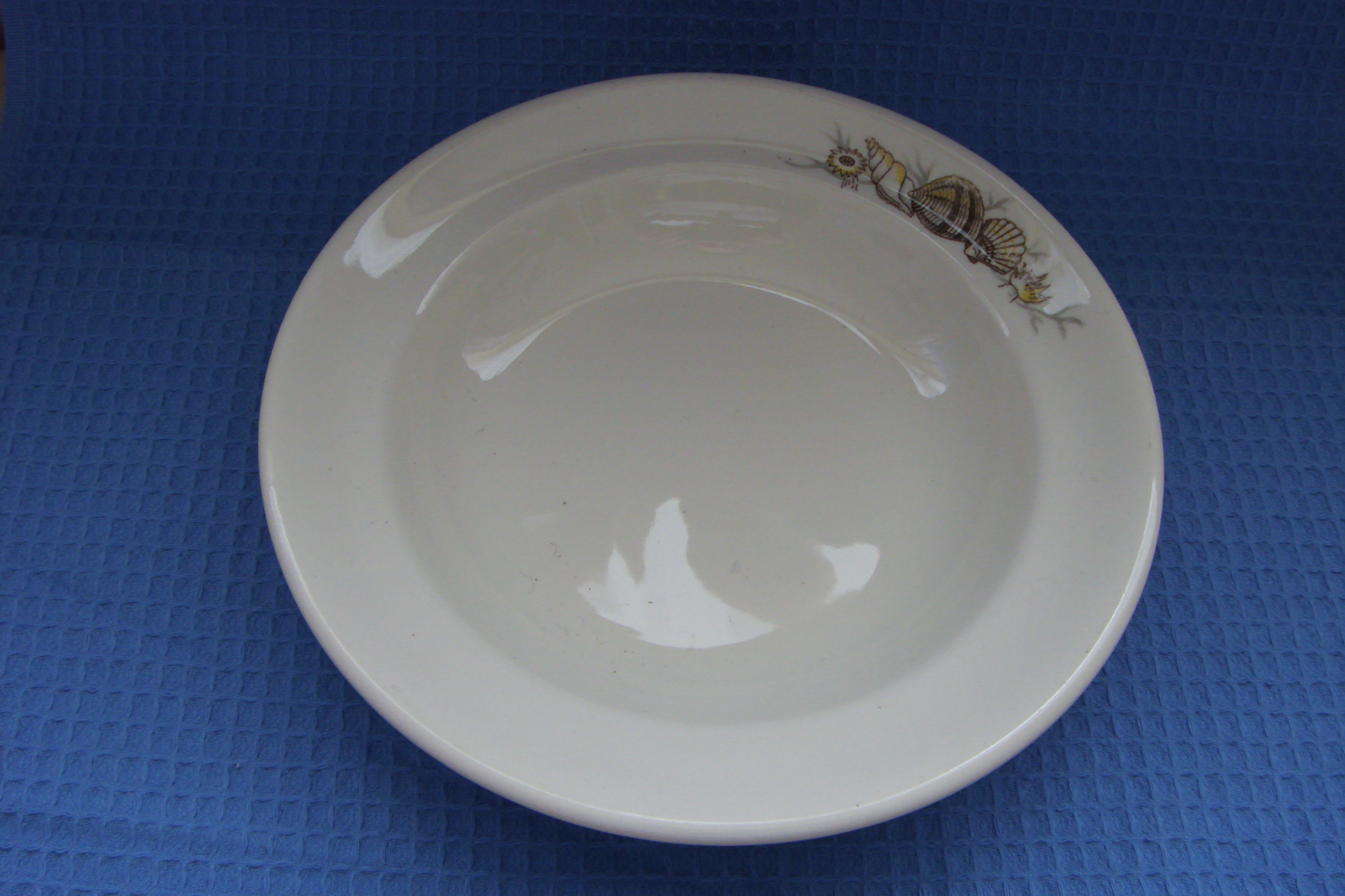 SEASHELL DESIGN LARGE DINNER BOWL FROM THE ORIENT LINE